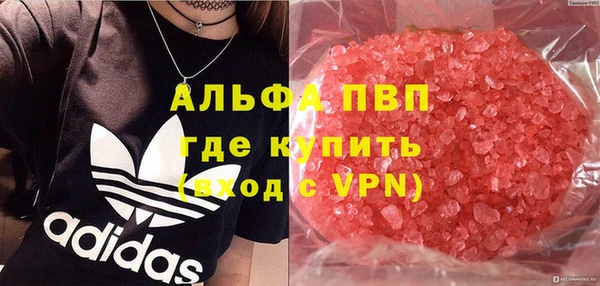 молекула духа Инсар