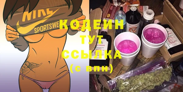 молекула духа Инсар