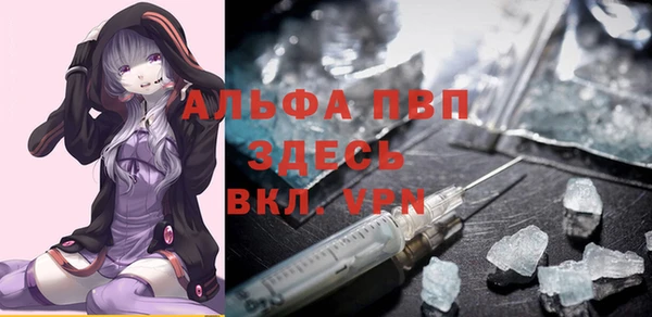 молекула духа Инсар