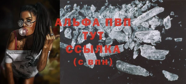 эйфоретик Инта