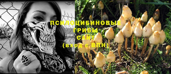 молекула духа Инсар