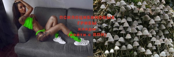 прущая мука Сясьстрой