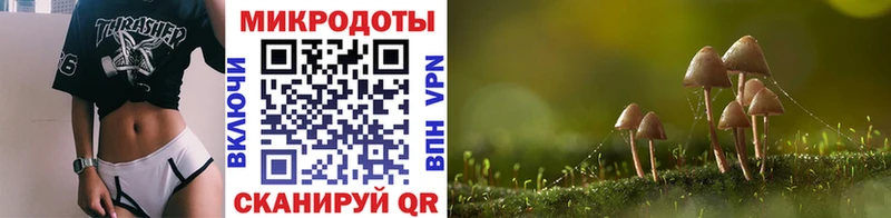 Псилоцибиновые грибы ЛСД  Купить где  Нижнеудинск 